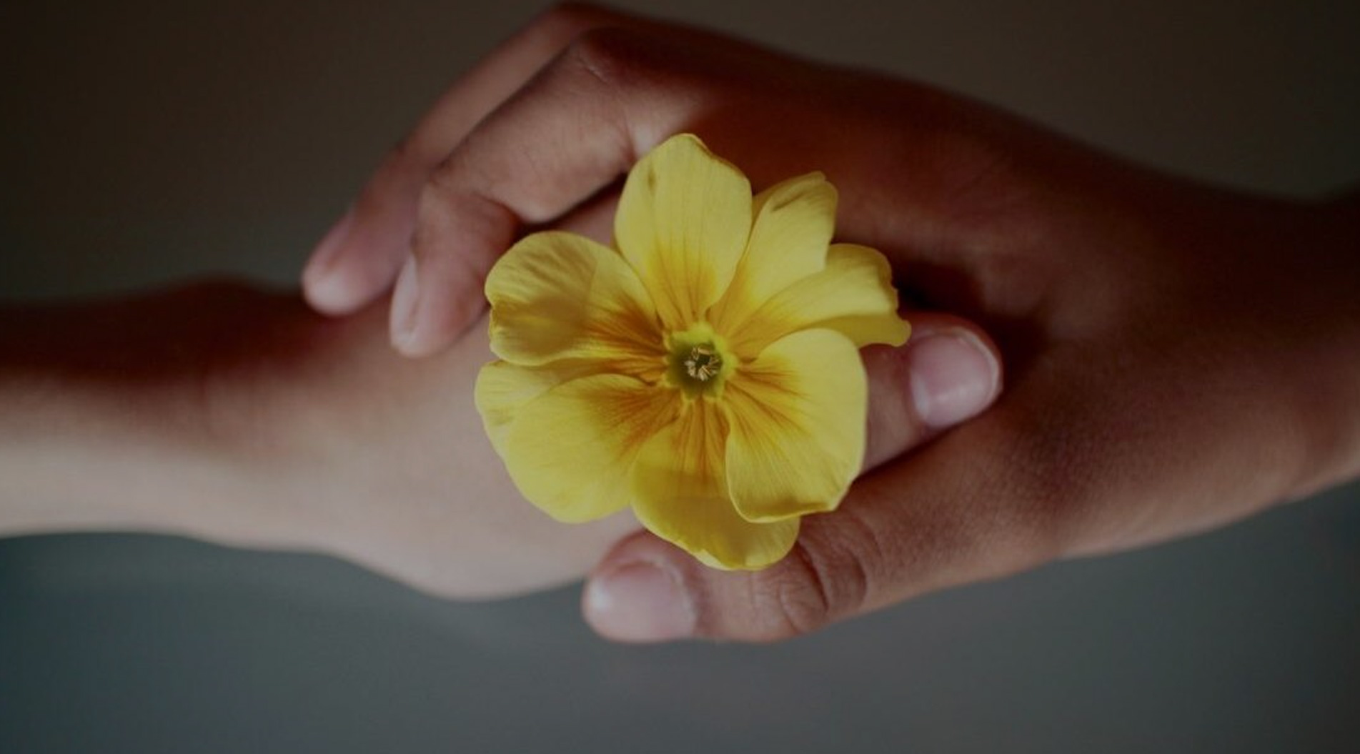 bannerbesthai_02